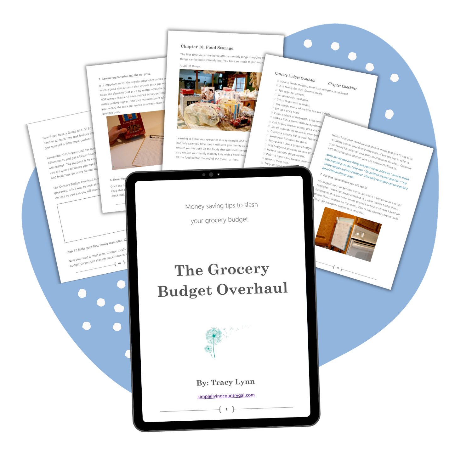 Grocery Budget Overhaul Bundle