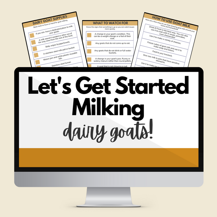 Dairy Goat Milking Guide+Bundle
