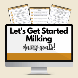 Let's Start Milking Dairy Goats!